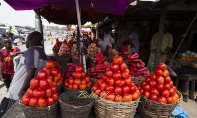 Tomatoes in the Market | Nsoedo Frank | Foto.com.ng