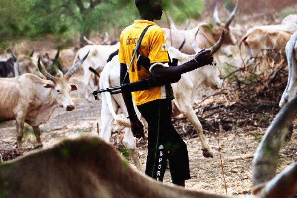 "Banning open grazing is an invitation to anarchy" - Fulani Herdsmen - BellaNaija