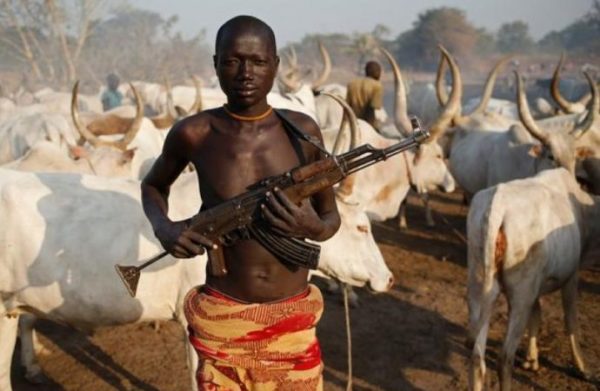 Fulani Herdsmen