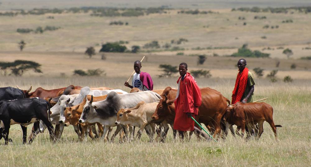 Image result for Dry season: FG partners Nasarawa govt. to forestall herdsmen/farmers crises