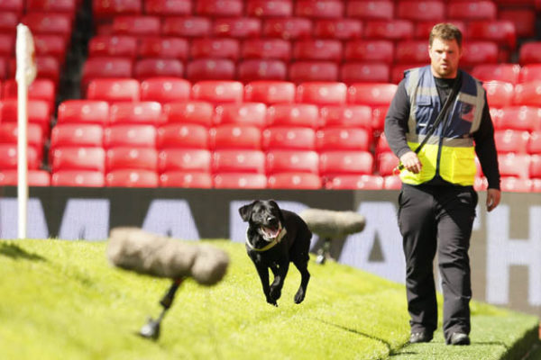 Police Sniffer dogs after the evacuation. Credit: Reuters