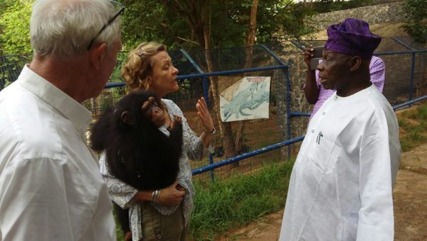 Obasanj-donates-chimpanzee-patience-to-pandrillus