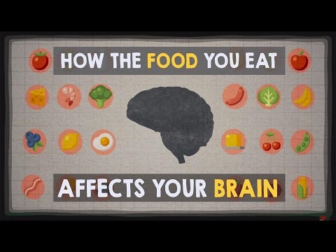 how food affects your brain ted talk