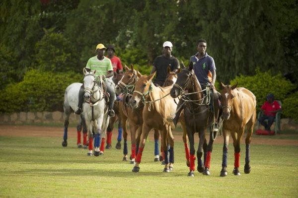 2016-Access-Bank-Polo-Tournament-June-2016-BellaNaija0007