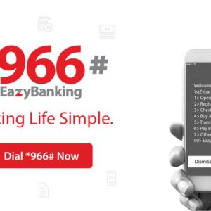 zenith easy loan