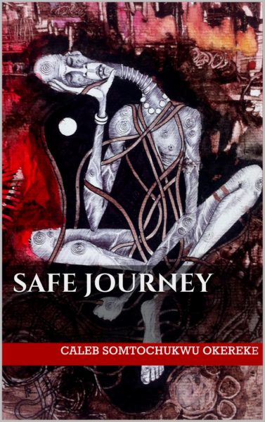 Safe Journey Book Cover