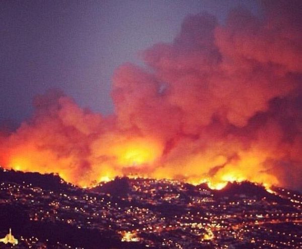 Portuguese Wildfire