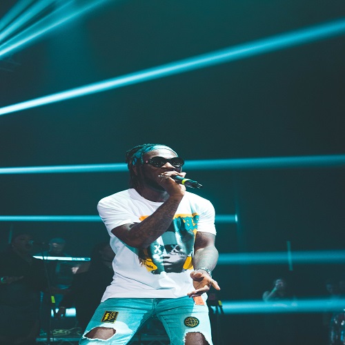 Burna Boy (12)