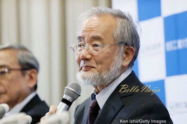 Yoshinori Ohsumi 