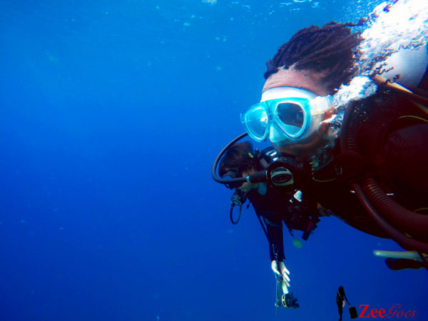 zeegoes_diving_ishigaki