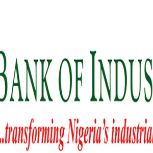 Bank of Industry promises to increase N1bn fashion industry fund if ...