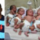 Oluwakemi and Imudia Uduehi and their Quintuplets