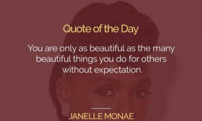 Bnquoteoftheday