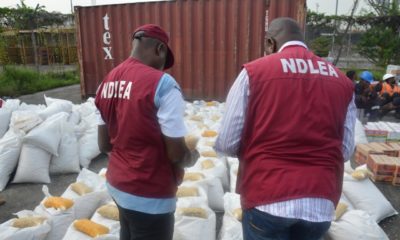 BellaNaija - NDLEA intercepts over 5000kg of Cannabis at Seme Border