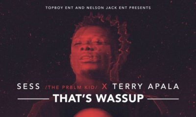 BellaNaija - New Music: Sess x Terry Apala - That's Wassup