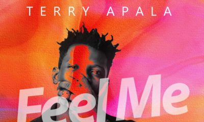 BellaNaija - New Music: Terry Apala - Feel Me