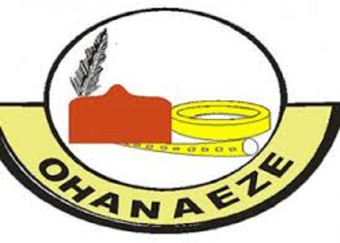 Ohaneze, Petition, UN