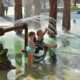 The World's First Wheel Chair-Friendly Water Park in Texas Fosters Inclusion with Fun! | WATCH