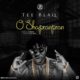 BellaNaija - New Music: Tee Blaq - O Shapranpran