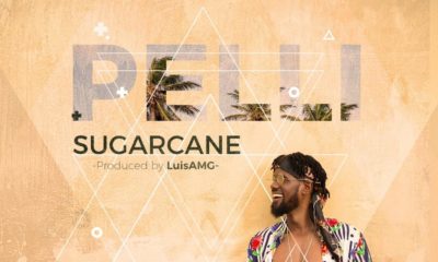 BellaNaija - New Music: Pelli - Sugarcane