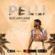 BellaNaija - New Music: Pelli - Sugarcane