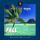 BellaNaija - New Music: DJ Consequence x Phantom - Fall (EDM Refix)