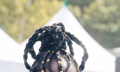Black & Fabulous! See the Most Peculiar Hairstyles from #AfroPunk2017