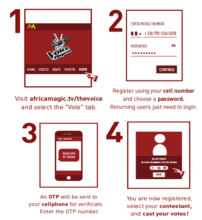 voice nigeria voting