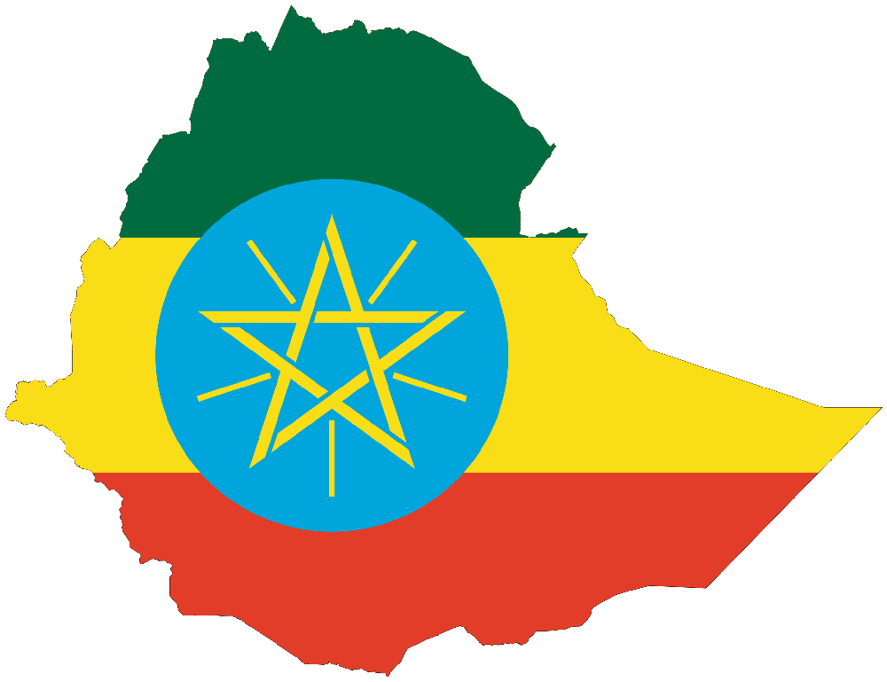 Ethiopia announces Visa on Arrival for African Travellers | BellaNaija