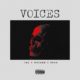 New Music: Tec (SDC) x Mojeed x Spax - Voices
