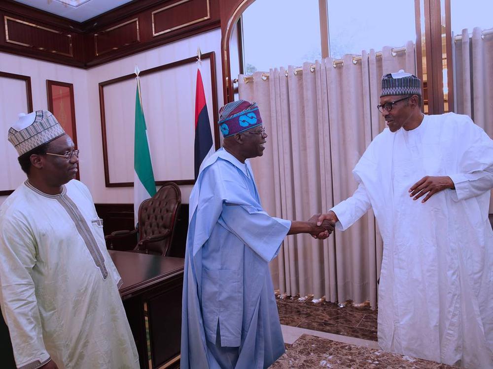 There is no Cabal in the Presidency - Tinubu after Meeting with Buhari