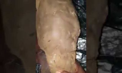Nigerian Man discovers Cocaine in Yam he's Asked to Deliver Abroad - BellaNaija