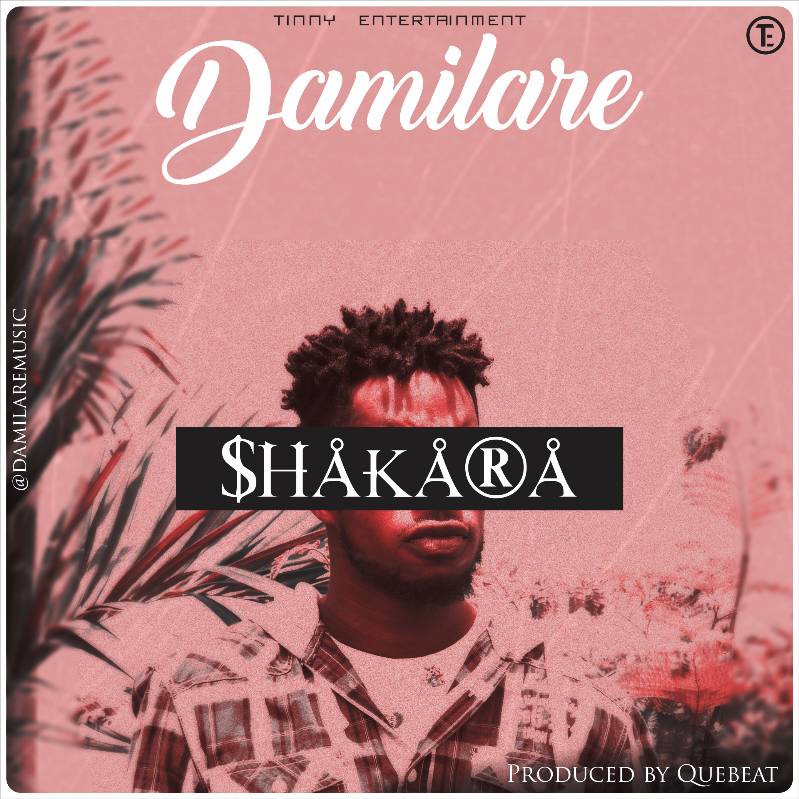 Damilare is Tinny Entertainment's Latest Signee! | Listen to his New Single "Shakara" on BN