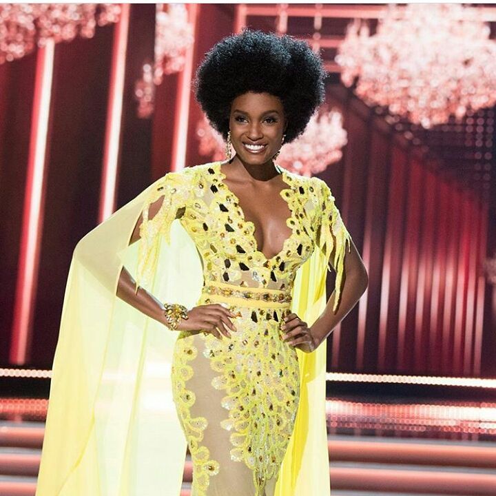 Miss Jamaica Davina Bennett rocked her Natural Afro at the Miss Universe Pageant which the Internet absolutely adores