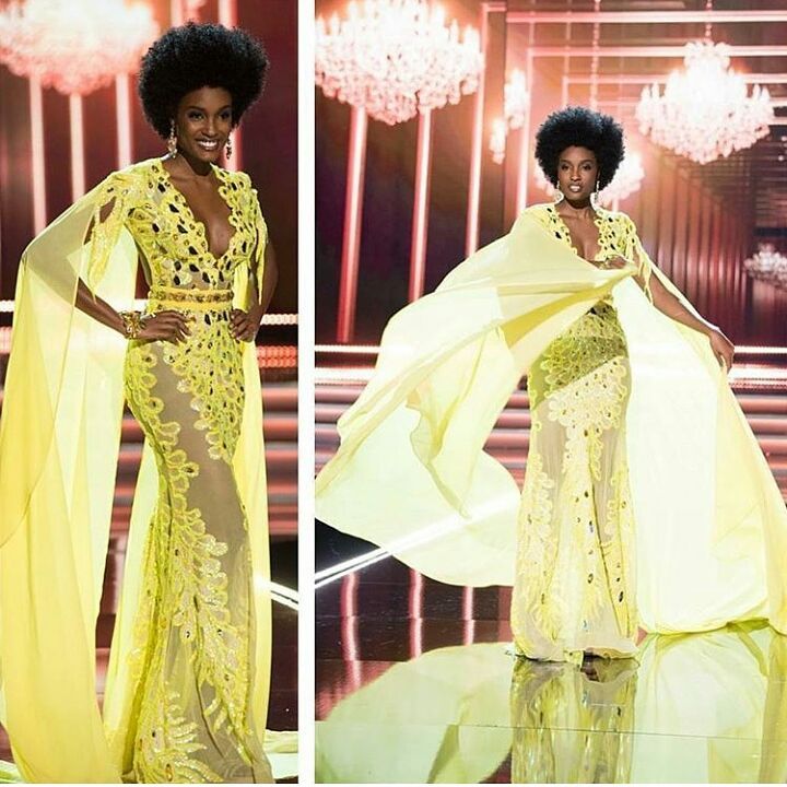 Miss Jamaica Davina Bennett rocked her Natural Afro at the Miss Universe Pageant which the Internet absolutely adores