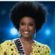 Miss Jamaica Davina Bennett rocked her Natural Afro at the Miss Universe Pageant which the Internet absolutely adores