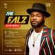 The Falz Experience