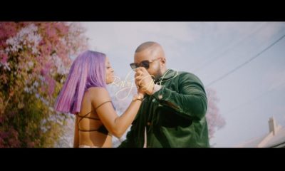 Vanessa Mdee stars in Cassper Nyovest's New Music Video "Baby Girl" | Watch on BN