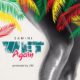 New Music: Samini - Wet Again