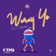 New Music: CDQ - Werey Yo