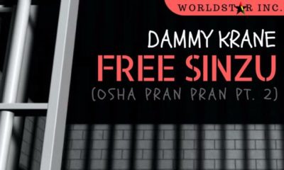 Dammy Krane aims to #FreeSinzu with New Single | Listen on BN