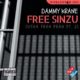Dammy Krane aims to #FreeSinzu with New Single | Listen on BN