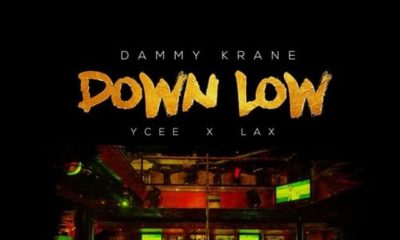 Dammy Krane announces forthcoming "Leader Of The Streets" EP | Listen to "Down Low" feat. Ycee & L.A.X.