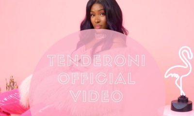 Tolani Otedola releases music video for "Tenderoni" featuring Skales | Watch on BN