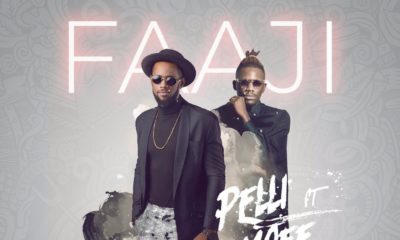 New Music: Pelli feat. Ycee - Faaji