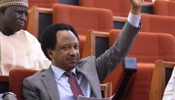 Senator Shehu Sani presents Snake Charmers & Repellants to JAMB - BellaNaija