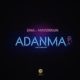 New Music: DNA feat. Mayorkun - Adanma