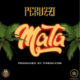 Peruzzi unveils DMW Debut Single "Mata" | Listen on BN