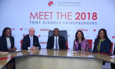 Tony Elumelu Foundation