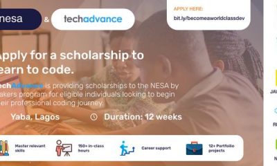 software engineering scholarship